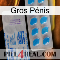 Gros Pénis new15